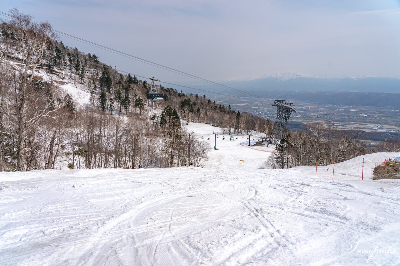 富良野スキー場　さすが富良野！4月24日現在、山麓までの全長約3,000ｍロングコースがオープン中(^^)/